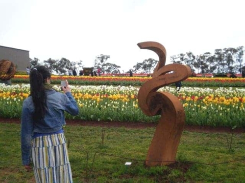 Corten Steel Landmark Sculpture – Tranquility by Andrew Kasper, 330x155cm | ARTpark Australia