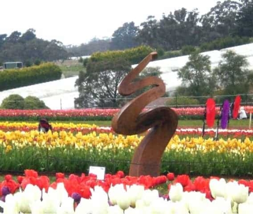 Corten Steel Landmark Sculpture – Tranquility by Andrew Kasper, 330x155cm | ARTpark Australia