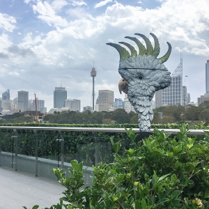 cockatoo bird sculpture in bronze insitu