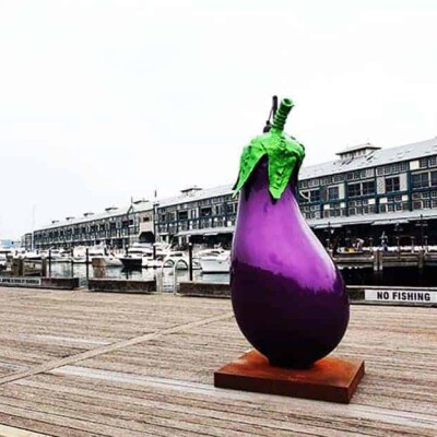 Aubergine - 2.6m