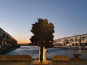 banksia_Walsh-bay-sculpture-walk