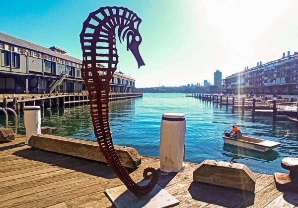 seamare-metal-seahorse-sculpture_Walsh-bay-sculpture-walk