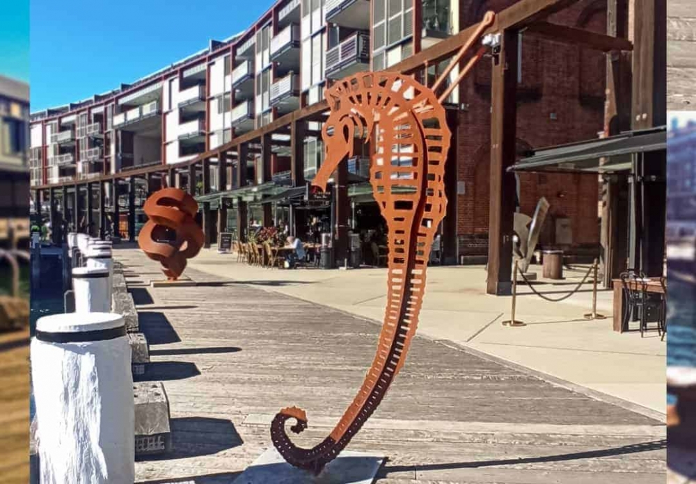 seamare-metal-seahorse-sculpture_Walsh-bay-sculpture-walk2