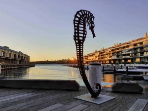 seamare_Walsh-bay-sculpture-walk