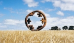 Corten-Steel Sculpture