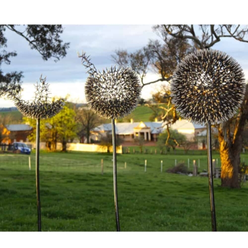 Steel Garden Sculpture – Dandelions by Al Phemister, Fabricated Mild Steel | ARTpark Australia