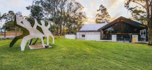 Hunter Valley Sculpture - Charles Blackman