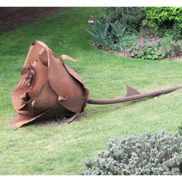 Roses-150cm--Fabricated-Steel-[Outdoor,Corten]Kooper-Folko-australian-flower-sculpture-outdoor-garden-art-leaves-nature