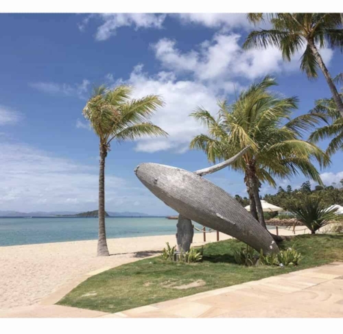 Stainless Steel Marine Sculpture – Breached Whale by Michael Van Dam, 350x300x180cm | ARTpark Australia
