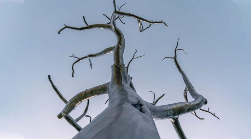 Aluminium Landmark Sculpture – '2030' Tree by Sam Hopkins, 350x420x610cm | ARTpark Australia