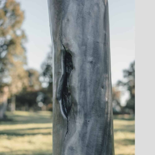 Aluminium Landmark Sculpture – '2030' Tree by Sam Hopkins, 350x420x610cm | ARTpark Australia