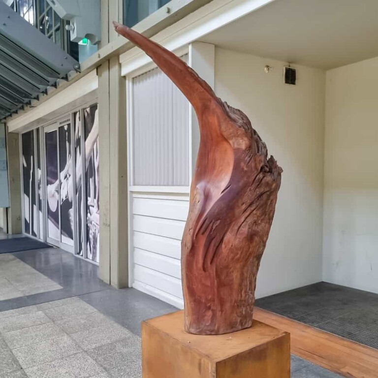Timber Abstract Sculpture – Bird Form by Margaret Sheridan, 180cm - view 3