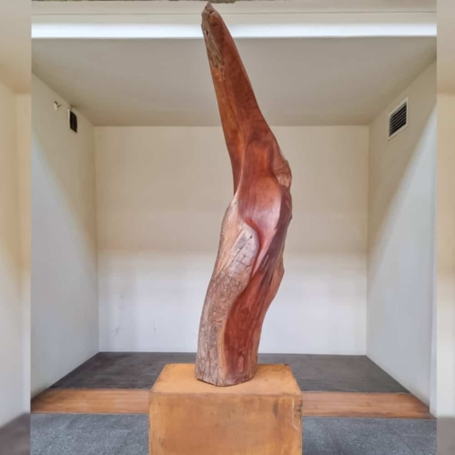 Timber Abstract Sculpture – Bird Form by Margaret Sheridan, 180cm | ARTpark Australia
