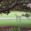 life size horse sculpture statue