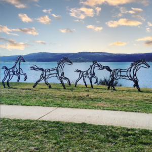 Herd - tobias bennett horse Sculpture