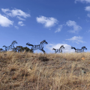 Herd - tobias bennett horse Sculpture