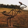 tobias bennett kangaroo sculpture