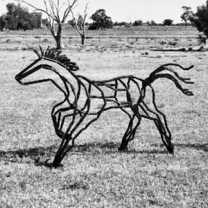 Herd - tobias bennett horse Sculpture