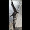 AX-Eagle-with-Inverted-Feathers-285x90x80cm