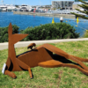kangaroo sculpture jimmy rix