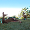 kangaroo sculpture jimmy rix