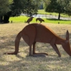 Jimm Rix Kangaroo Sculpture - collecting fur to line the nest