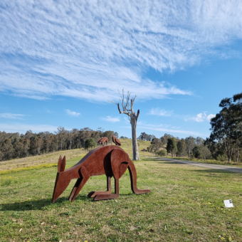 Corten Steel Kangaroo Sculpture – Collecting Fur to Line the Nest II by Jimmy Rix, 1.4m | ARTpark Australia