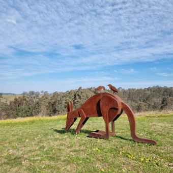 Corten Steel Kangaroo Sculpture – Collecting Fur to Line the Nest II by Jimmy Rix, 1.4m | ARTpark Australia