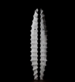 timber sculpture, totem sculpture, lucas guilbert sculpture