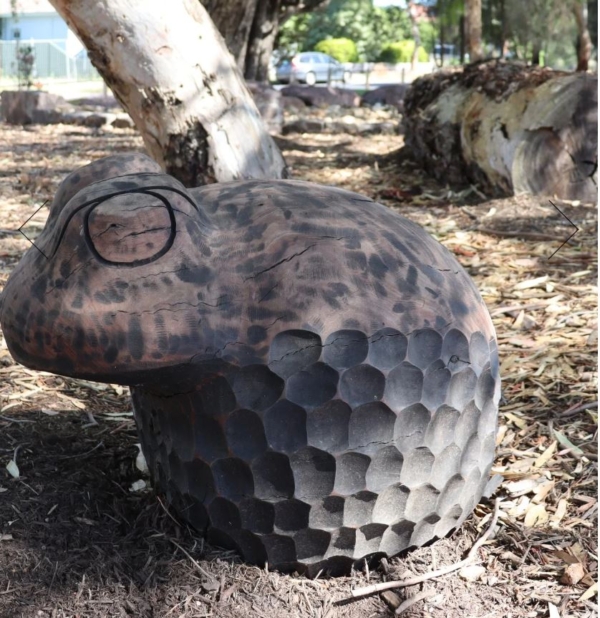 Timber Frog Sculpture – Carved Animals by Lucas Guilbert | ARTpark Australia