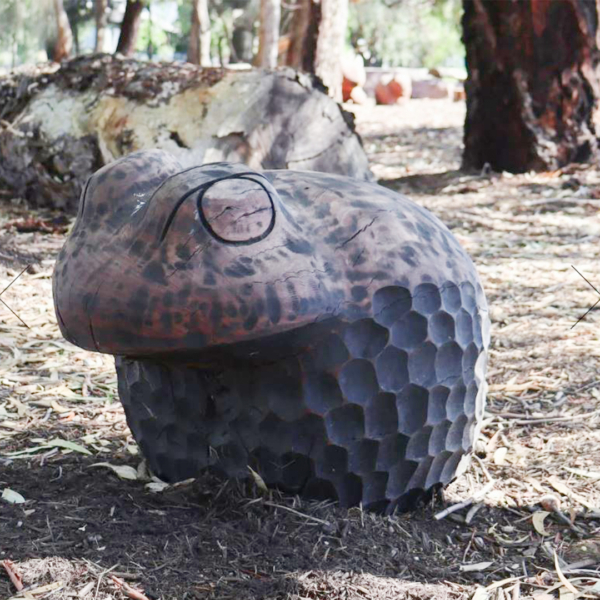 Timber Frog Sculpture – Carved Animals by Lucas Guilbert | ARTpark Australia