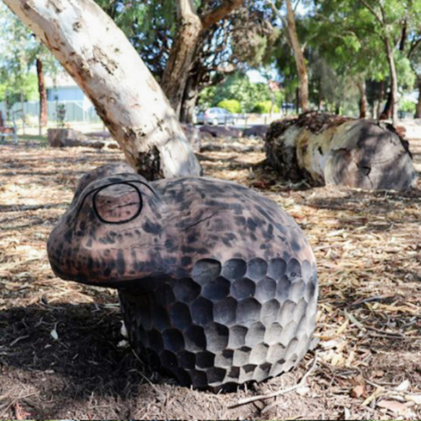 Timber Frog Sculpture – Carved Animals by Lucas Guilbert | ARTpark Australia