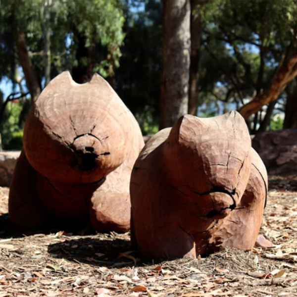 Timber Wombat Sculpture – Carved Animals by Lucas Guilbert | ARTpark Australia