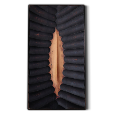 timber sculpture, wall sculpture
