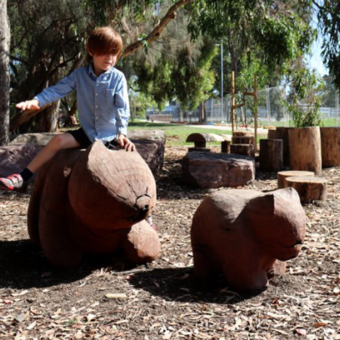 Timber Wombat Sculpture – Carved Animals by Lucas Guilbert | ARTpark Australia