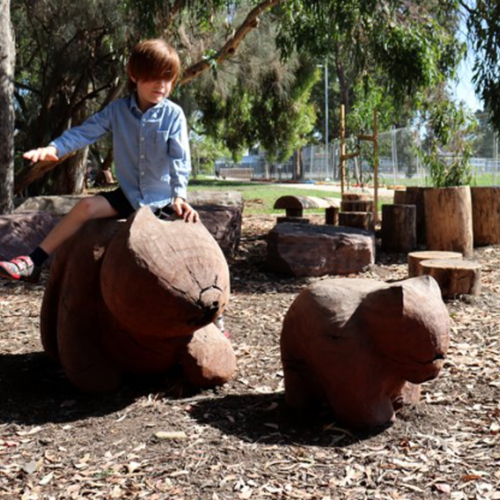 Timber Wombat Sculpture – Carved Animals by Lucas Guilbert | ARTpark Australia