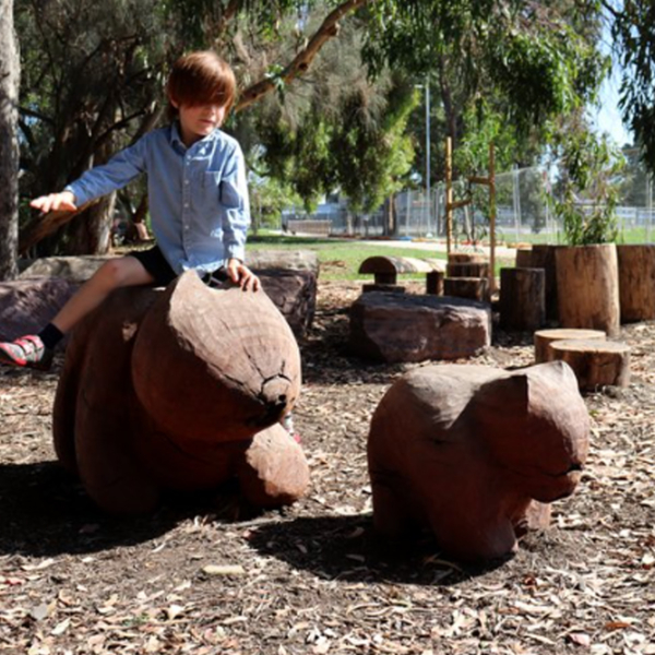 Timber Wombat Sculpture – Carved Animals by Lucas Guilbert | ARTpark Australia