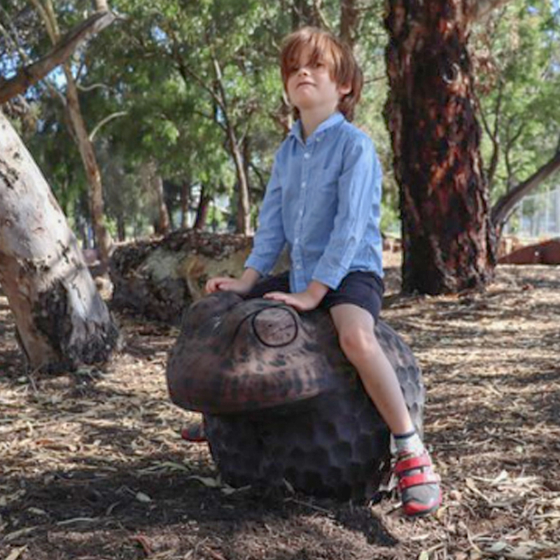 timber sculpture, animal sculpture, playground sculpture, animal sculpture