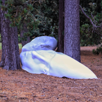 Fibreglass Sculpture – Relics (Earth) by Sonia Payes | ARTpark Australia