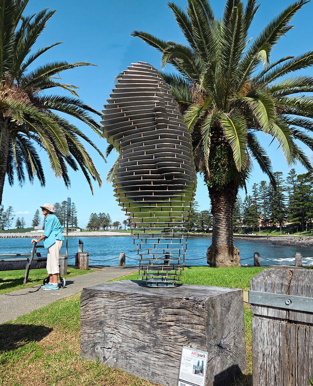 kiama sculpture walk - horse sculpture